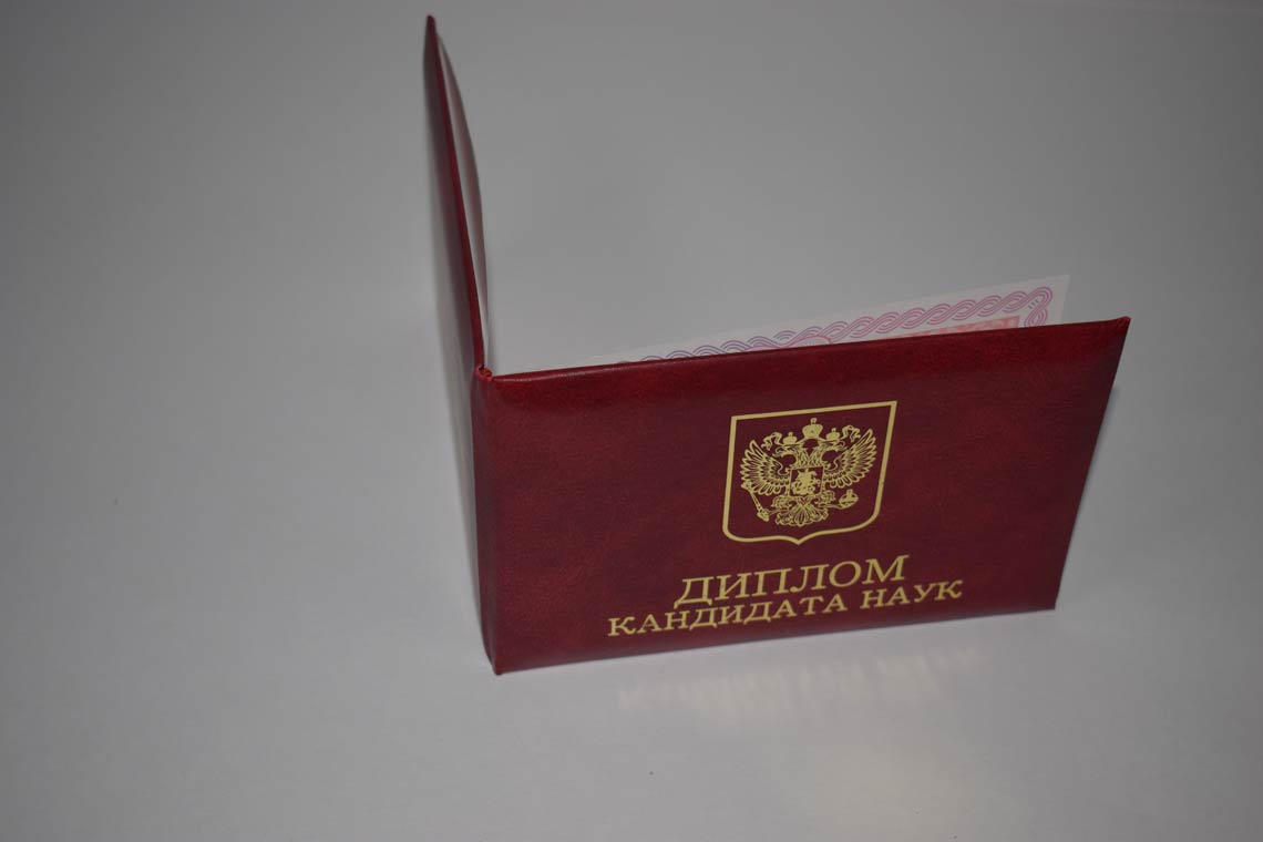 Диплом Кандидата Наук 2013-2016 в Батайске корка