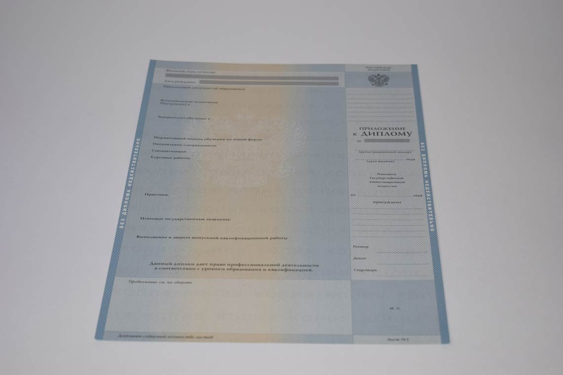Диплом Магистра с 2003-2008 в Батайске приложение